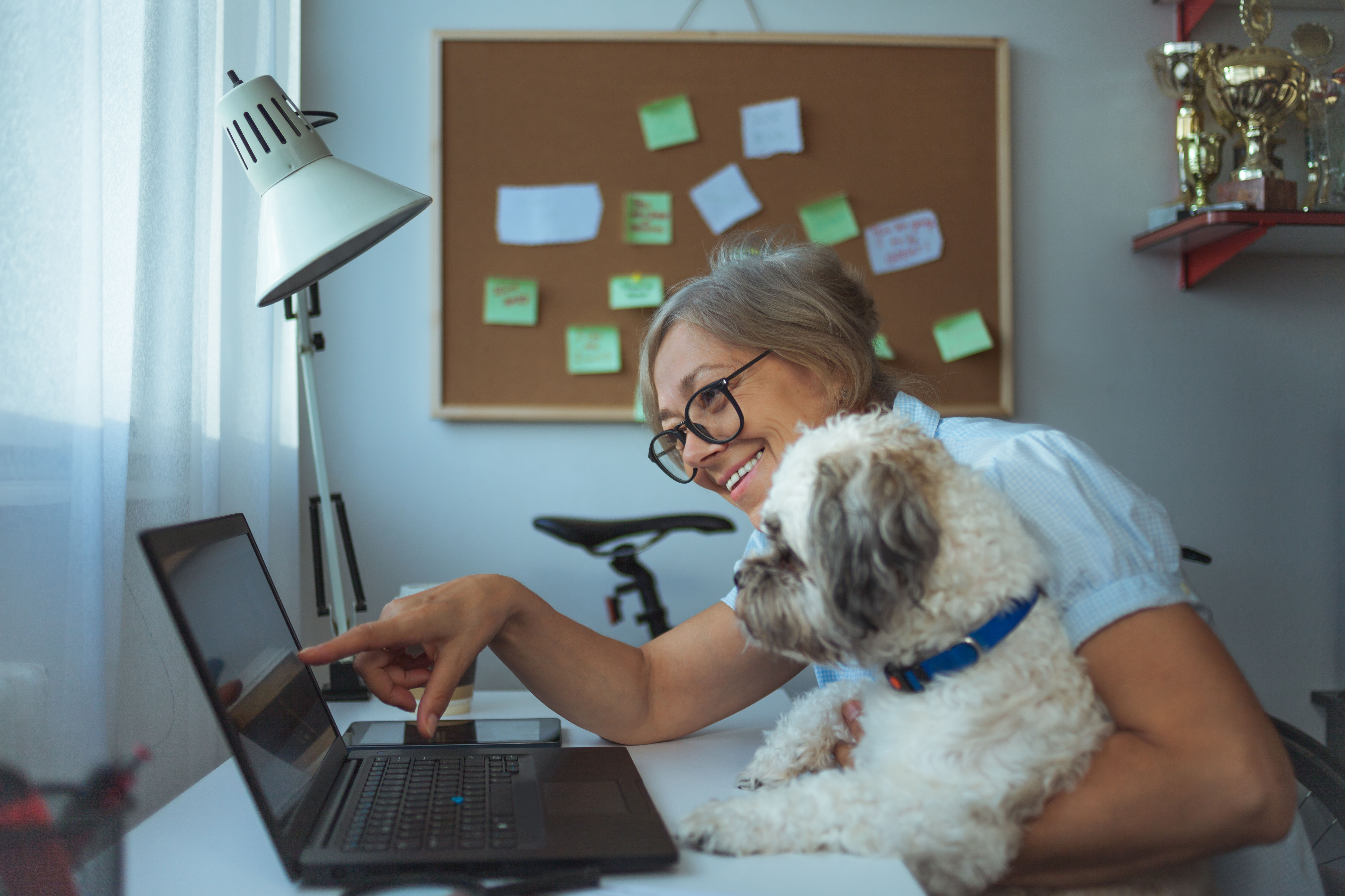 Commercial Online Services